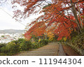 紅葉美麗的神明社階梯（宮城縣白石市） 111944304
