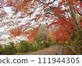 紅葉美麗的神明社階梯（宮城縣白石市） 111944305