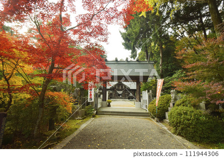 紅葉美麗的神明社（宮城縣白石市） 111944306