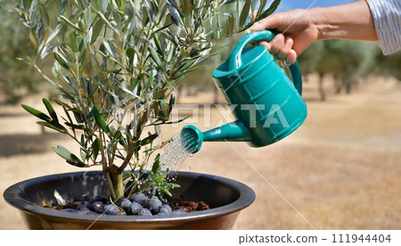 water the olives 111944404