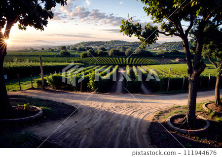 Landscape photo of nature grape yard 111944676