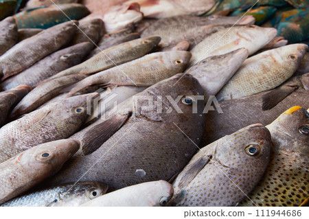 Fresh raw caught fishes on ice sale at fish market. Seafood pattern Fresh raw caught fishes on ice sale at fish market. Seafood pattern 111944686