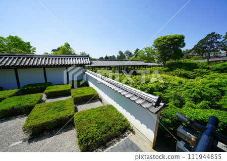 The grounds of Tofukuji Temple with beautiful fresh greenery The grounds of Tofukuji Temple with beautiful fresh greenery 111944855