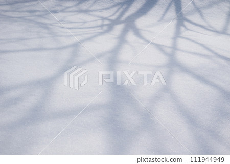The shadow of the tree reflected on the snow surface The shadow of the tree reflected on the snow surface 111944949