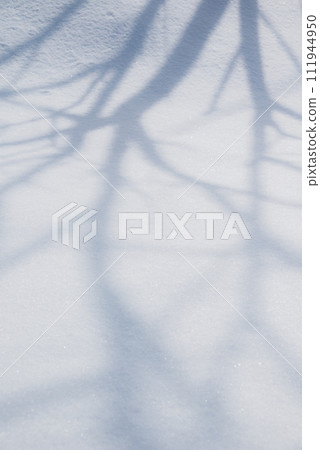 樹的陰影反映在雪面上 樹的陰影反映在雪面上 111944950
