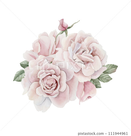 Composition of pink rose hip flowers with buds and leaves, Victorian style rose. Floral watercolor illustration hand painted isolated on white background. Perfect for invitation, greeting cards, poste 111944961
