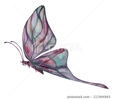 Hand drawn watercolor illustration butterfly fairy wings gem crystal insect moth. Tourmaline pearl labradorite opal. Single object isolated on white background. Design print, shop, wedding, birthday 111944983
