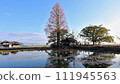 Nuinoike, Saga Prefecture 111945563