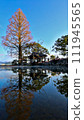 Nuinoike, Saga Prefecture 111945565