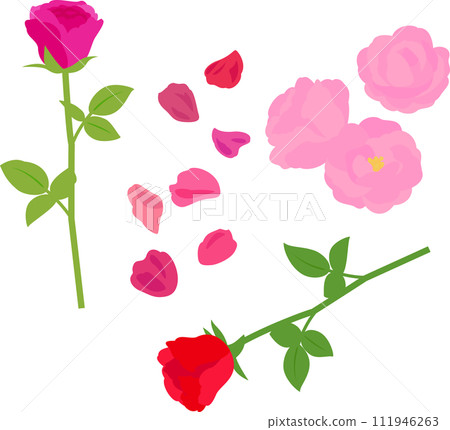 Rose flower illustration set 111946263