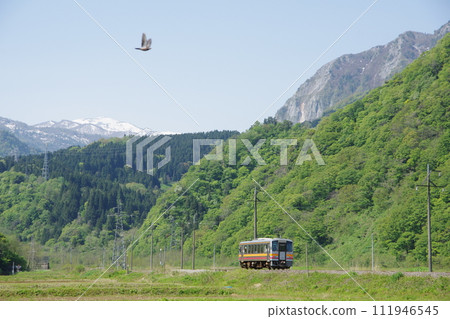 Kiha 120 train and bird traveling near Neji on the Oito Line 111946545