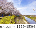 Cherry blossoms and flowing river 111946594