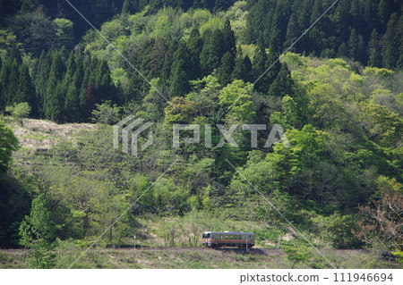 Kiha 120 going near Yokogawa Bridge on the Oito Line Kiha 120 going near Yokogawa Bridge on the Oito Line 111946694