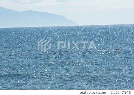 Scenery seen from Cape Golden, Hokkaido Scenery seen from Cape Golden, Hokkaido 111947548