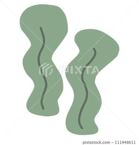 Simple deformed hand-drawn seaweed illustration 111948611