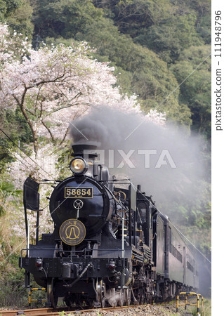 Cherry blossom trees and SL Hitoyoshi Cherry blossom trees and SL Hitoyoshi 111948796