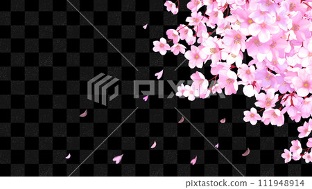 櫻花和方格圖案框架背景夜櫻花圖像 16:9 111948914