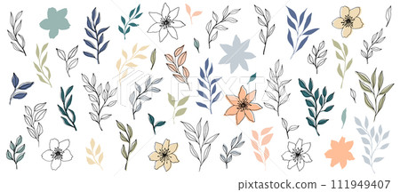vector branch and leaves in trendy color palette and monochrome. Elegant branches for decoration. hand drawn botanical illustration for backgrounds. Template for wedding cards, polygraph, logo, tattoo 111949407