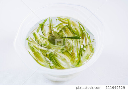 Myoga that removes the darkness Myoga that removes the darkness 111949529