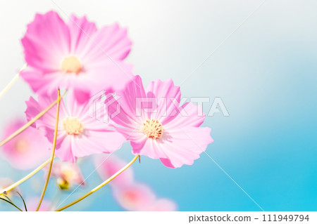 宇宙和天空 111949794