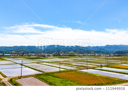 水稻種植前的鄉村風光與城市風光 水稻種植前的鄉村風光與城市風光 111949938