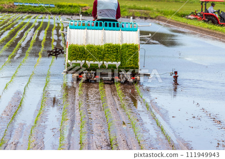 Agricultural machinery Rice transplanter 111949943