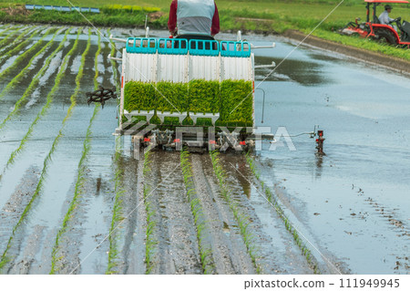Agricultural machinery Rice transplanter Agricultural machinery Rice transplanter 111949945