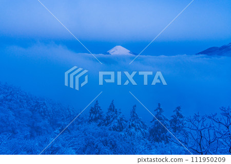 （神奈川縣）從箱根代官山看到的被降雪和雲海包圍的富士山 111950209