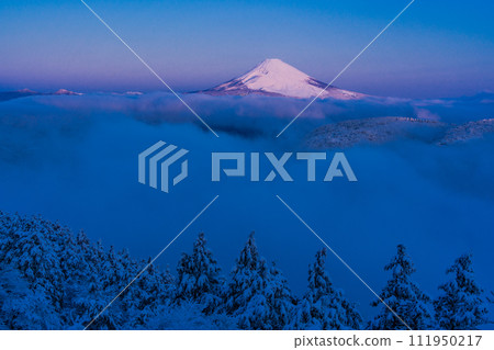 （神奈川縣）從箱根代官山看到的被降雪和雲海包圍的富士山 111950217