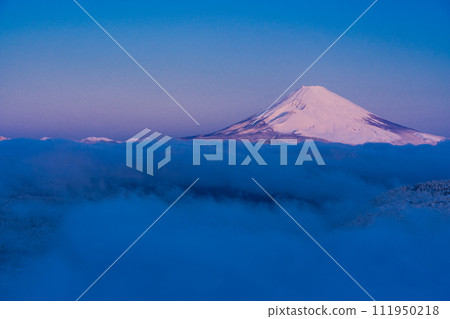 (神奈川縣)從箱根代官山看到的被降雪和雲海包圍的富士山 (神奈川縣)從箱根代官山看到的被降雪和雲海包圍的富士山 111950218