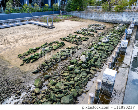 Artificial tidal flat created in Waters Takeshiba [Takeshiba Tidal Flat] 111950237