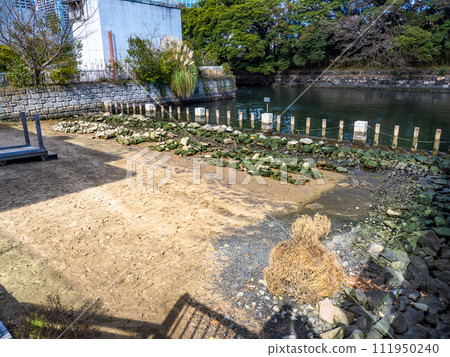 Artificial tidal flat created in Waters Takeshiba [Takeshiba Tidal Flat] 111950240