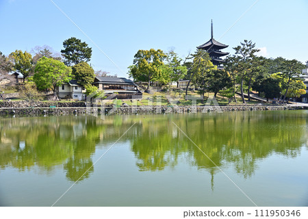 Scenery of ancient capital Nara ~ Sarusawa Pond ~ Scenery of ancient capital Nara ~ Sarusawa Pond ~ 111950346