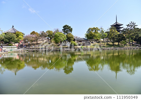 Scenery of ancient capital Nara ~ Sarusawa Pond ~ Scenery of ancient capital Nara ~ Sarusawa Pond ~ 111950349