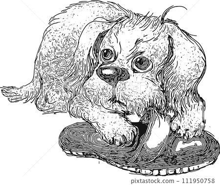 Little cute puppy gnaws slippers. Isolated illustration for banner, background, card, book, tatto, t-shirt, poster. 111950758