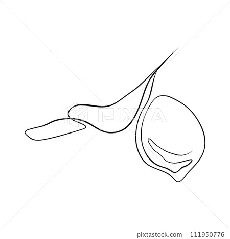 Continuous drawing of lines. Line art continuous drawing of lemon on a branch. Vector minimalist Continuous drawing of lines. Line art continuous drawing of lemon on a branch. Vector minimalist 111950776