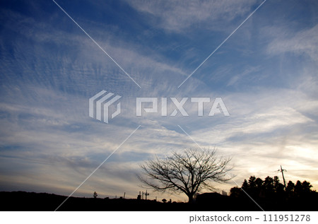 傍晚的天空 111951278