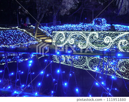 Pleasure Forest Illumination 111951880