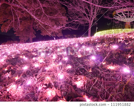 遊樂森林照明 111951882