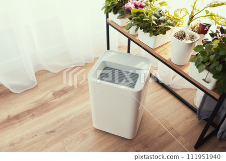 Modern air humidifier on floorin living room. 111951940
