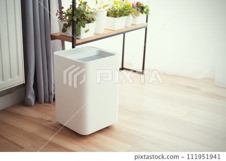Modern air humidifier on floorin living room. 111951941