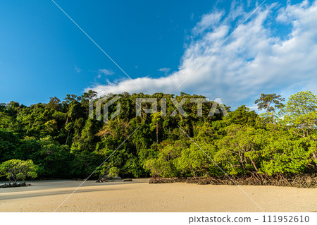 Sunrise at Mai ngam beach, Surin island National park, Phang nga, Thailand 111952610