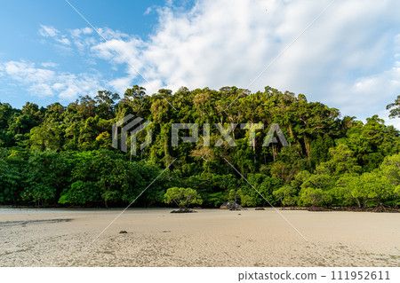 Sunrise at Mai ngam beach, Surin island National park, Phang nga, Thailand 111952611