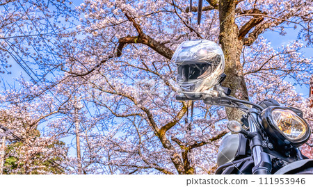 Sakura Tree Tunnel Bike Touring Yawatano, Ito City, Shizuoka Prefecture Sakura Tree Tunnel Bike Touring Yawatano, Ito City, Shizuoka Prefecture 111953946