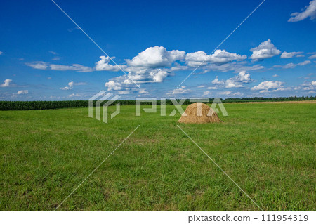 Bright day over a field featuring one haystack, lush grass under a sky filled with cumulus clouds. Bright day over a field featuring one haystack, lush grass under a sky filled with cumulus clouds. 111954319