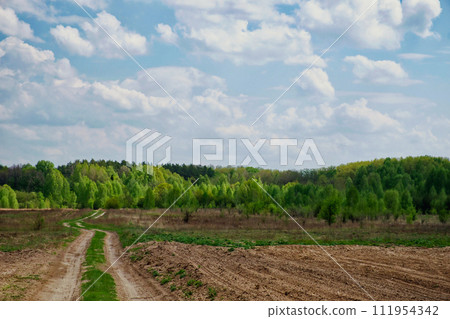 The image shows a dirt path leading through a field towards a forest under a cloudy sky. The image shows a dirt path leading through a field towards a forest under a cloudy sky. 111954342