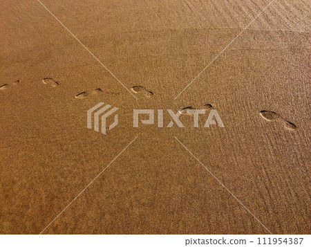 A close-up of sandy ground with distinct footprints embedded. 111954387