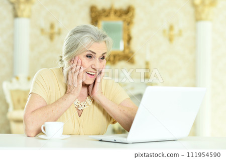 Portrait of senior woman sitting at table with laptop 111954590