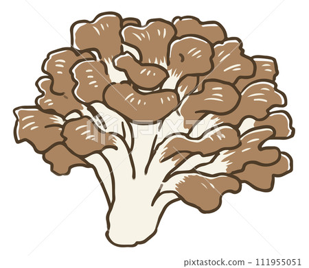 灰樹花 灰樹花 111955051