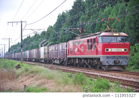 信越幹線見附織 JR Freight EF510-8（富山） 111955327